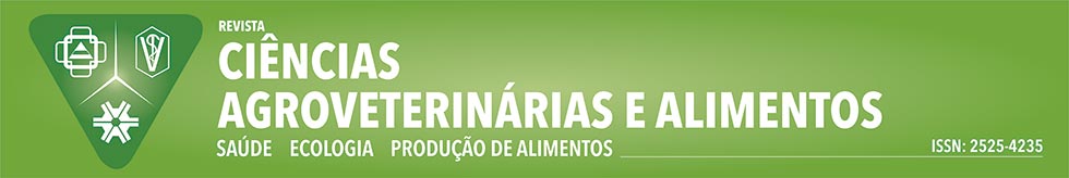 Cabeçalho da página